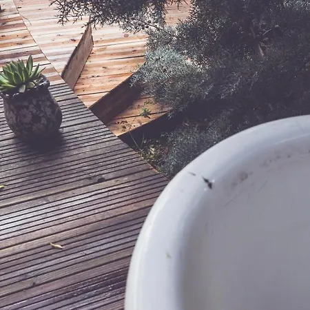 אוהל מפואר Moselglamping *