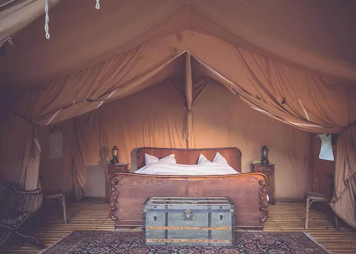 Moselglamping * Traben-Trarbach